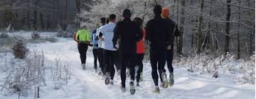 Blaauwbekmarathon 2016