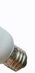 24Volt gloeilamp in led lamp G50-21SMD