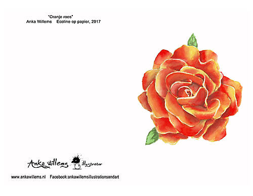 Card orange rose