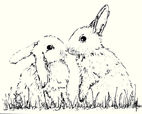 Valentine-Hasen