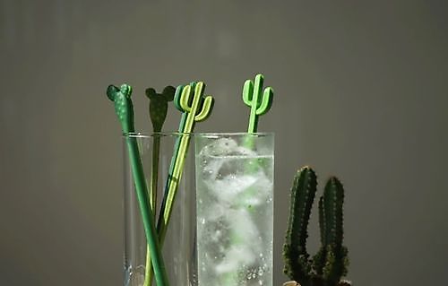 roerstokjes cactus