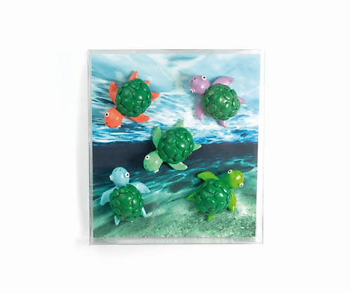 trendform turtle magnets