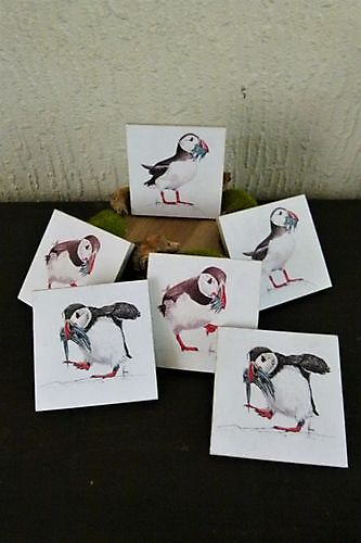 Coasters Puffins