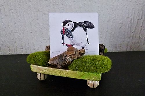 Onderzetters Papegaaiduikers