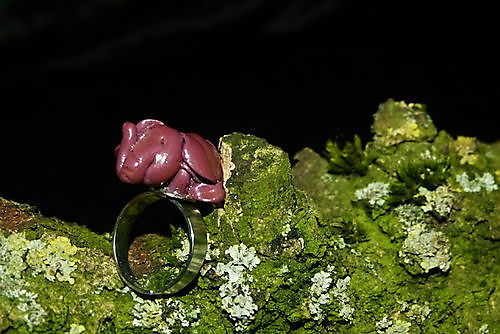 Ring Olifant