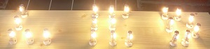 G4 dimbare halogeen lamp vervanger, G12. 4 stuks