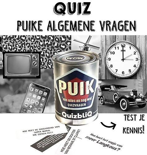 Quizbliq Puik