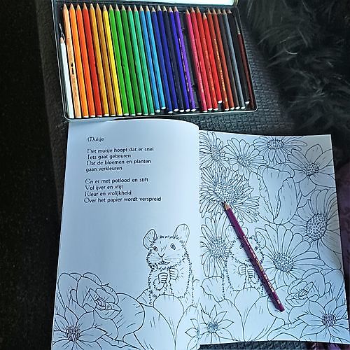 Coloring book for adults