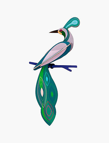 Studio ROOF - paradise bird, fiji