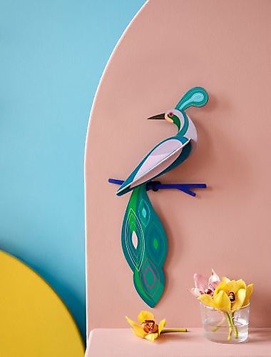 Studio ROOF - paradise bird, fiji