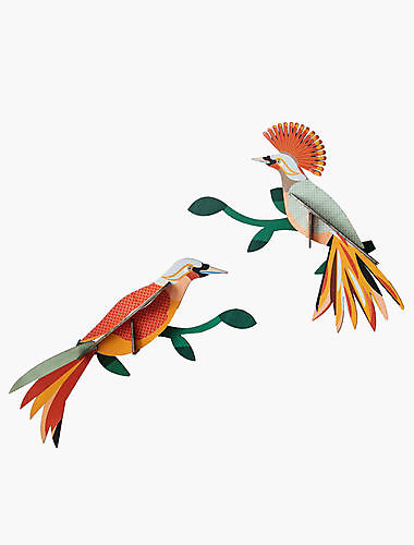 Studio ROOF - Paradise birds, obi