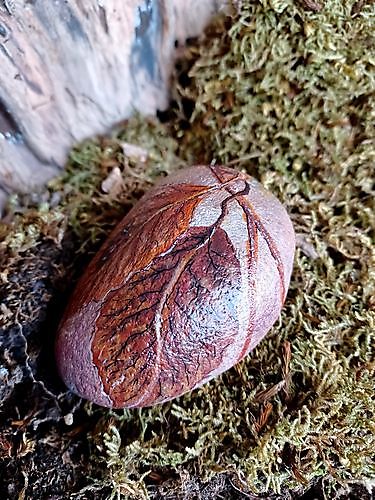 Happy Stone Ladybug on leaf