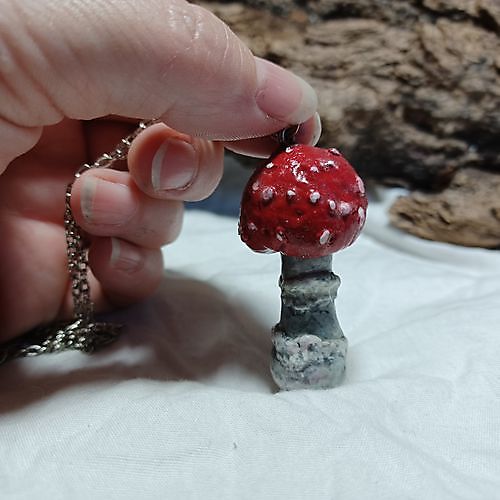 Hanger Mushroom Fly Agaric