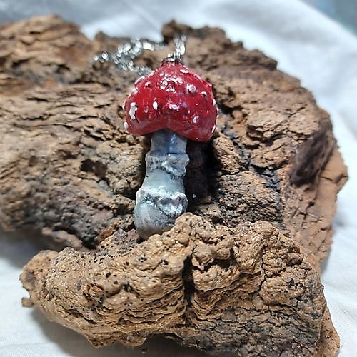 Hanger Mushroom Fly Agaric