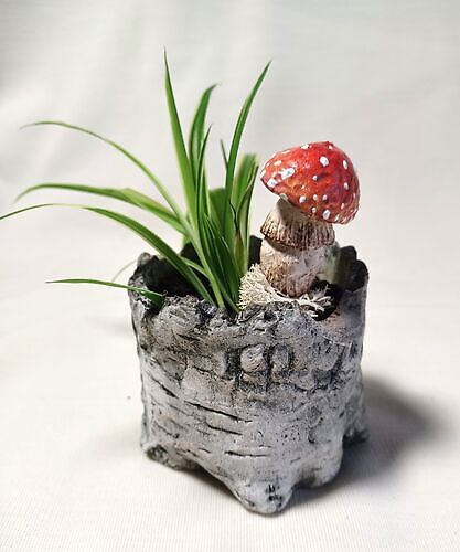 Flower pot plug mushroom red 2