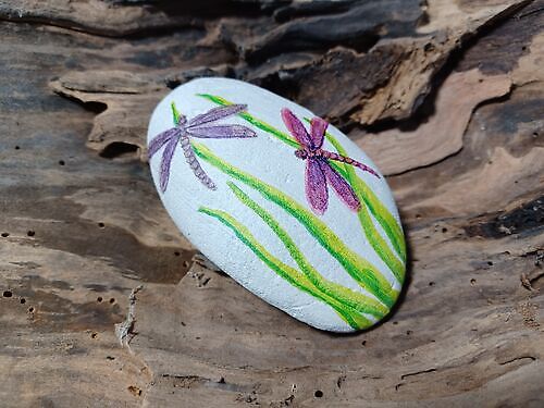 Happy Stone Libellen