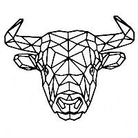 FBRK stier