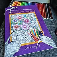 Coloring book for adults