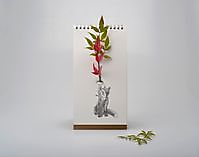 flip vase - wild