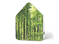 Zwitscherbox Forest